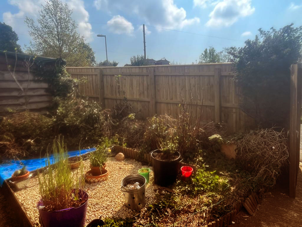 Torbay Hedge Trimming